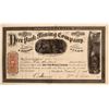 Image 1 : Deer Park Mining Company Stock Certificate  107425