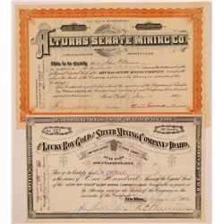Alturas Senate MC Stock  108167