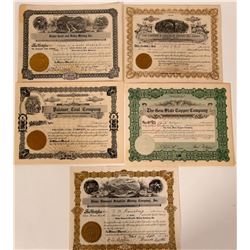 Idaho Rare Metals Stock Certificates  107538