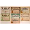 Image 1 : Seven Different Idaho Mining Stock Certificates  106683
