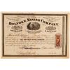 Image 1 : Holyoke Mining Company Stock Certificate  104520