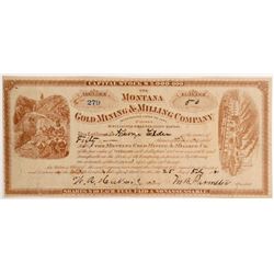 Montana Gold Mining Co Stock  109531