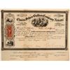 Image 1 : Elmira Silver Bullion Company of Nevada Stock Certificate  106979