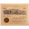 Image 1 : RARE Rex Wonder Mining Company Stock  105884