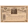 Image 1 : Deseret Silver Mining & Smelting Company Stock Certificate  106959