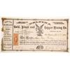 Image 1 : Delfina Silver and Copper Mining Stock  90565