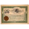 Image 1 : American Penny Express Company Stock Certificate  107480