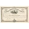 Image 1 : Central Arizona Mining Company Stock Certificate  89371