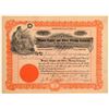 Image 1 : Pioneer Copper & Silver Mining Co. Stock Certificate  106701