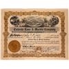 Image 1 : Caliente Lime & Marble Company Stock Certificate  107541