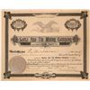 Image 1 : Santa Ana Tin Mining Company Stock Certificate  107610