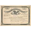Image 1 : American Placer Company Stock Certificate  107517