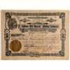 Image 1 : Balloon Hill Mascot Mining Company Stock Certificate  108589
