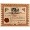 Image 1 : Cave Hill Copper Company Stock Certificate  106678