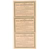 Image 1 : Eureka & Palisade Railroad Co. Unissued Bonds  106781