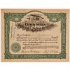 Image 1 : United States Airplane & Engine Company Stock Certificate  106830