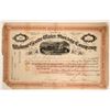 Image 1 : Walnut Grove Water Storage Company Stock Certificate  107592