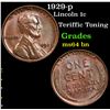 Image 1 : 1929-p Lincoln Cent 1c Grades Choice Unc BN
