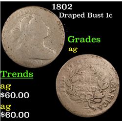 1802 Draped Bust Large Cent 1c Grades ag