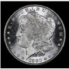 Image 2 : ***Auction Highlight*** 1880-s Morgan Dollar $1 Graded Choice Unc+ DMPL By USCG (fc)