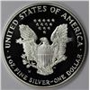 Image 2 : 2001 AMERICAN SILVER EAGLE