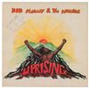 Image 1 : Bob Marley