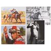 Image 2 : Jockeys