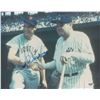 Image 1 : Ted Williams