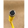 Image 4 : (4) TURCK PKG 3M-6 CORDSET