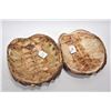 Image 2 : Two snapping turtle shells including an 11" and a 11 1/2"