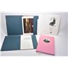 Image 1 : Two vintage folios of unframed prints Skira Color prints including Vemeer and Dutch Interiors plus a