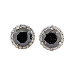 3.92 ctw Black Diamond Earrings - 14KT White Gold