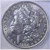 Image 2 : 1904 MORGAN DOLLAR  ICG MS-63