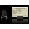 Image 2 : Aguas Zarcas Carbonaceous Chondrite Meteorite Slice