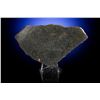 Image 1 : Clarendon (C) Stone Meteorite Slice and Fragment