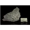 Image 3 : Mount Dooling Iron Meteorite Slice