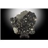Image 1 : NWA 11303 Lunar Meteorite Slice