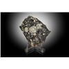 Image 1 : NWA 11303 Lunar Meteorite Slice