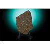 Image 2 : NWA 4502 Stone Meteorite Slice