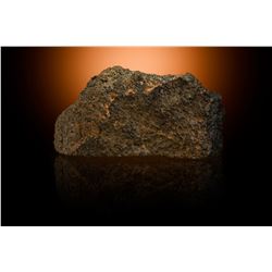 NWA 6963 Martian Meteorite End Cut