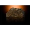 Image 1 : NWA 6963 Martian Meteorite End Cut
