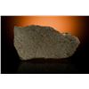 Image 2 : NWA 6963 Martian Meteorite End Cut