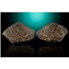 Image 1 : NWA 869 Stone Meteorite Matched Pair