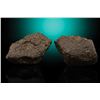 Image 2 : NWA 869 Stone Meteorite Matched Pair