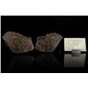Image 3 : NWA 869 Stone Meteorite Matched Pair