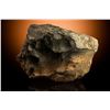 Image 1 : NWA XXX Sahara Stone Meteorite End Cut