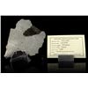 Image 2 : Saint-Aubin Iron Meteorite Slice