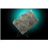 Image 1 : Santa Rosa Iron Meteorite Partial Slice