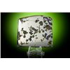 Image 2 : Seymchan Pallasite Meteorite Partial Slice