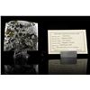 Image 3 : Seymchan Pallasite Meteorite Partial Slice
